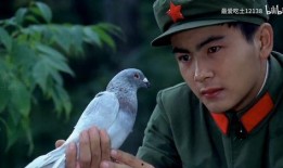 军艺班长爆料李彬视频